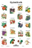 Spoznávanie ovocia a zeleniny<br>Ovocie
