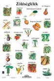 Spoznávanie ovocia a zeleniny<br>Zelenina